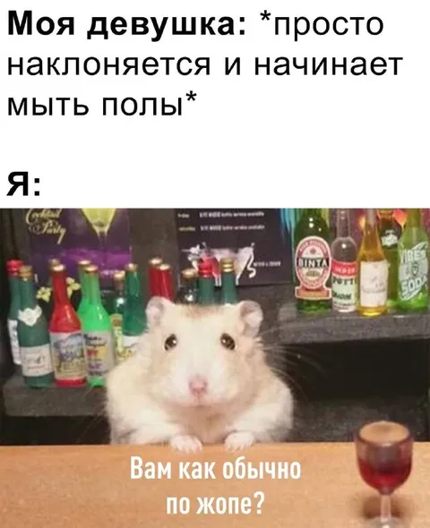 Хомяк за барной стойкой