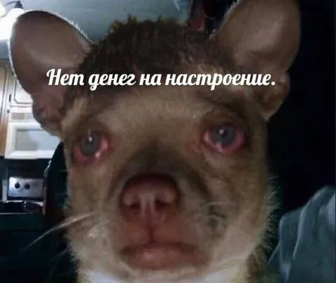 Нет денег на настроение