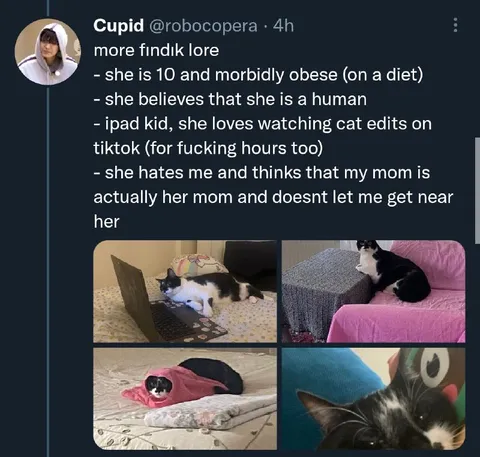 More Findik Lore