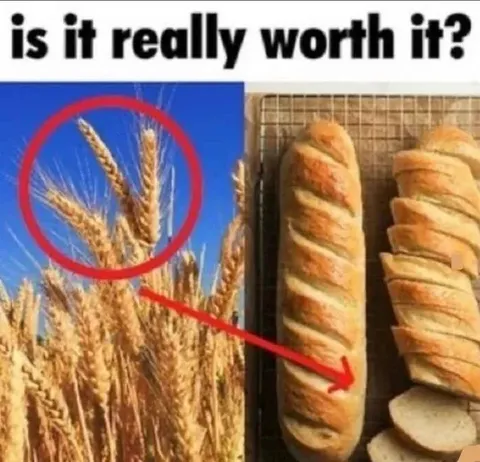 Is It Really Worth It?