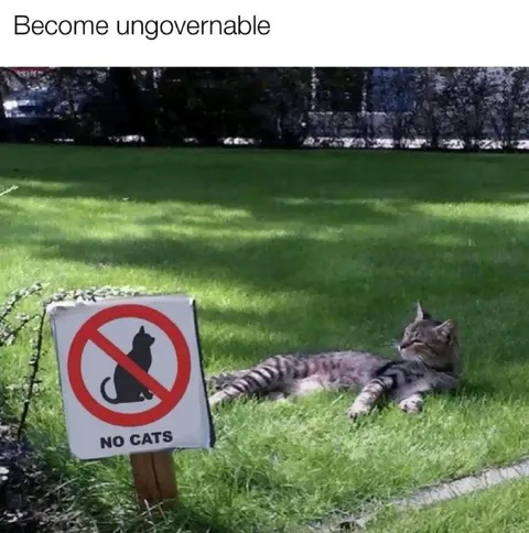 Become Ungovernable Cat