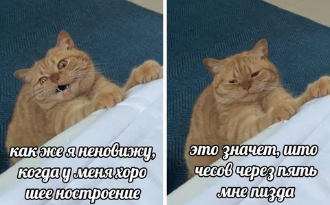 Хорошее настроение перед бедой