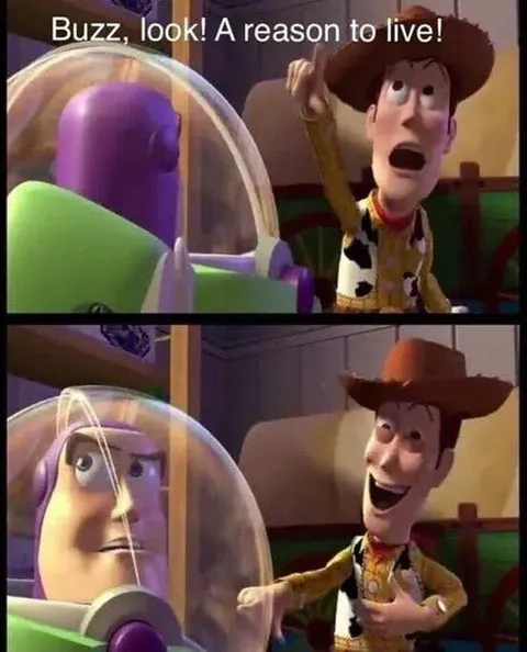 Woody Finds a Reason to Live