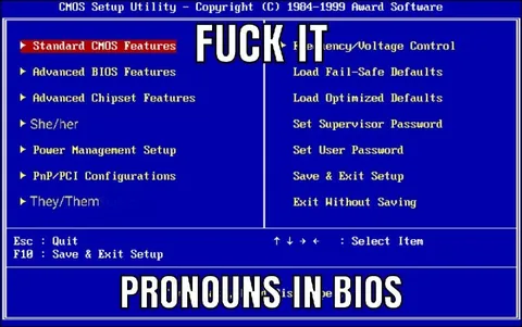 Pronouns in BIOS