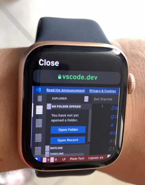 VS Code on an Apple Watch