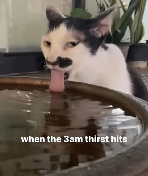 When the 3am Thirst Hits