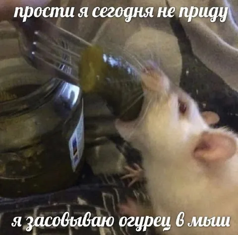 Огурец в мышь