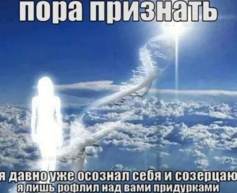Пора признать, я лишь рофлил
