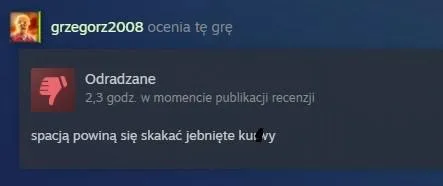 Wściekła recenzja gry