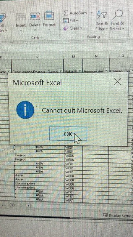 Cannot Quit Microsoft Excel
