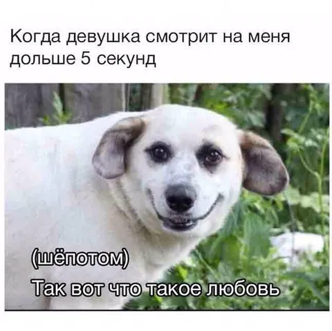 Когда девушка смотрит дольше пяти секунд