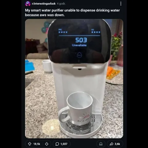 Smart Purifier During AWS Outage