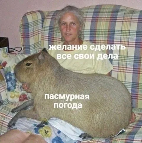 Пасмурная погода и дела