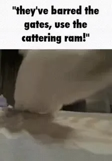 Cat Uses the Battering Ram