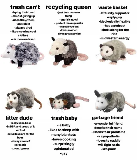 Which Trash Animal Are You?