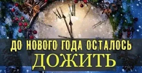 До Нового года осталось дожить