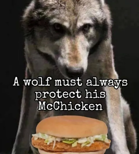 Wolf Protecting His McChicken