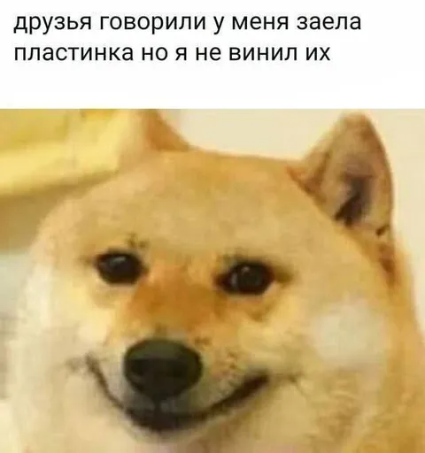 Заела пластинка, но я не винил их