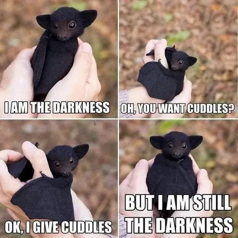 The Darkness Wants Cuddles