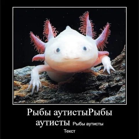 Рыбы аутисты и аксолотль
