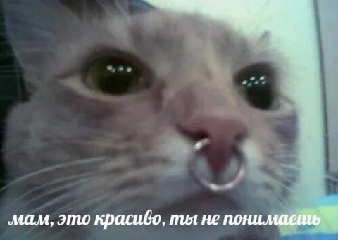 Мам, это красиво