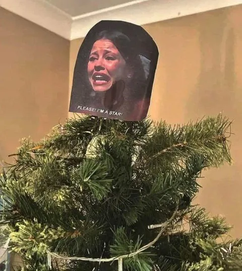 Please I'm a Star Tree Topper