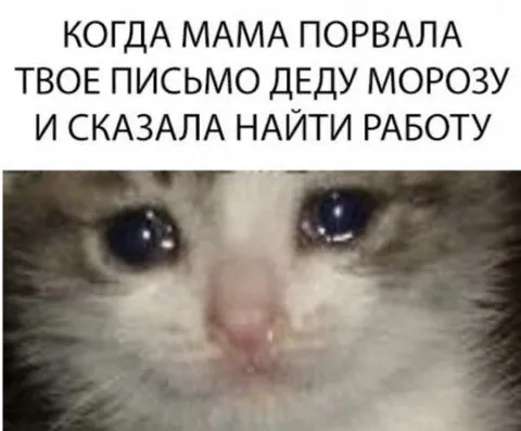 Мама порвала письмо деду Морозу