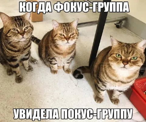 Фокус-группа увидела покус-группу