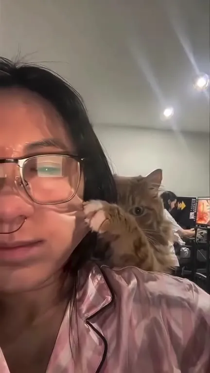 Кот залез в рот