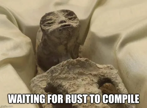 Waiting for Rust to Compile