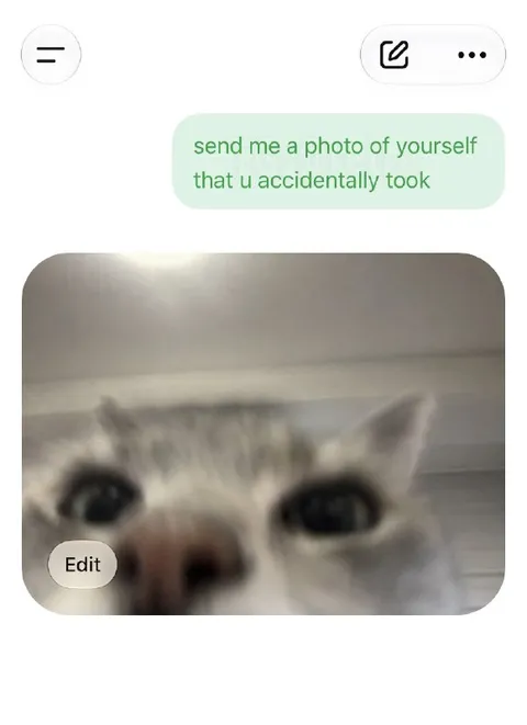 Accidental Cat Selfie