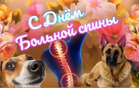 С Днём Большой Спины
