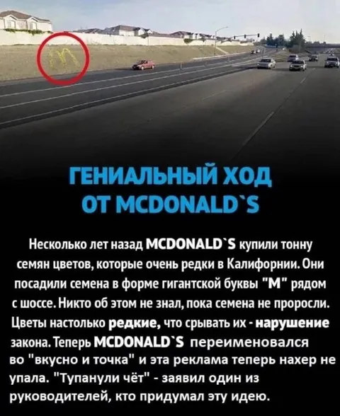 Гениальный ход от McDonald’s