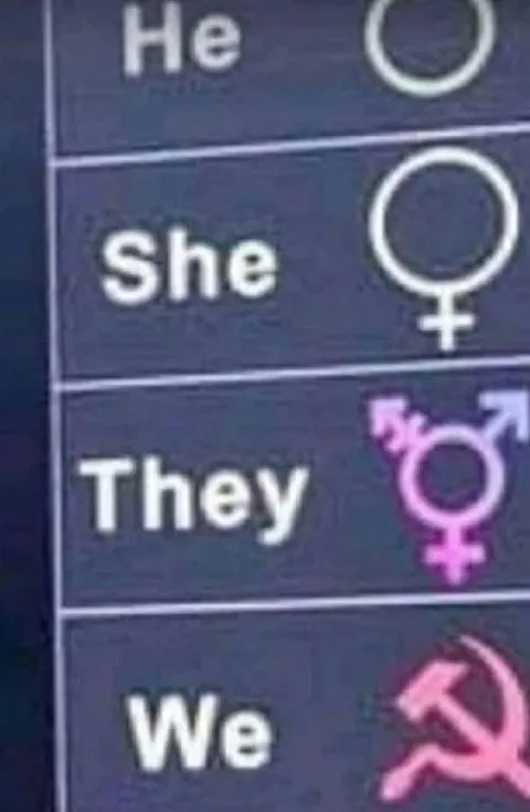 Pronouns and Political Symbols