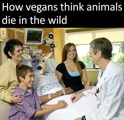 Vegans Think Deer Enjoy Wildlife