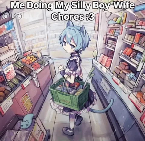 Silly Boy-Wife Grocery Chores