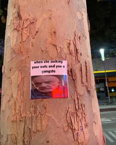 When She Sucking Your Nuts