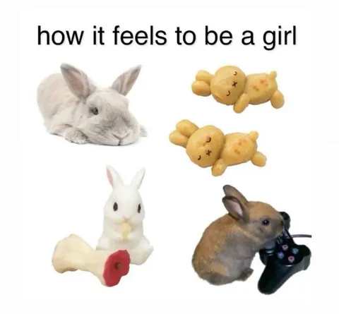 How It Feels to Be a Girl