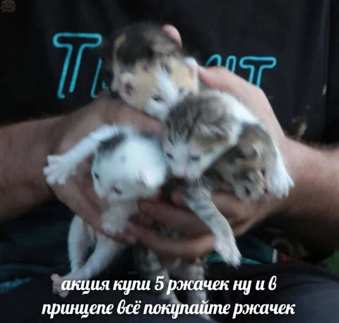Купи пять ржачек