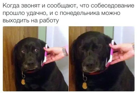 Собеседование прошло успешно