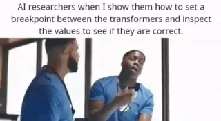 AI Researchers Check My Transformer