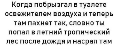 Запах после освежителя в туалете