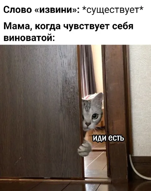 Мама чувствует себя виноватой