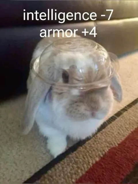Rabbit With Low Intelligence Armor