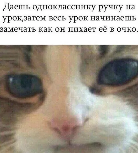 Кот после одолженной ручки