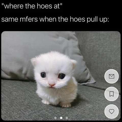When the Hoes Pull Up
