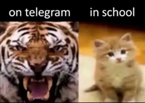 Телеграм и школа