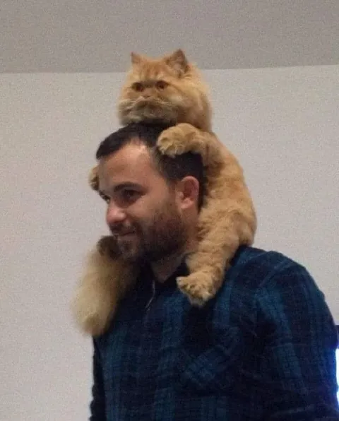 Кот оседлал мужчину