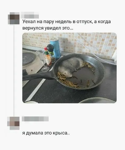 Вернулся и увидел это