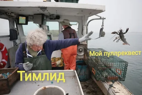 Тимлид отклоняет пуллреквест